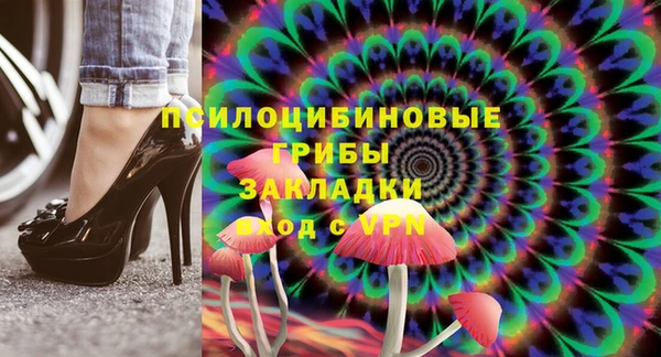 дурь Богородицк