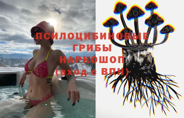 дурь Богородицк