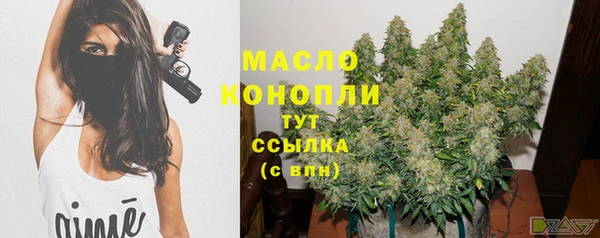 mdpv Богородск