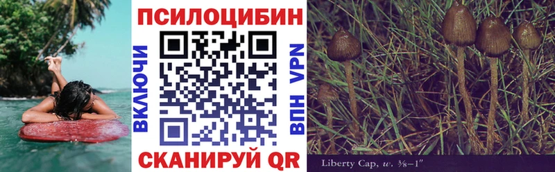 Псилоцибиновые грибы мухоморы  блэк спрут как зайти  Серафимович 
