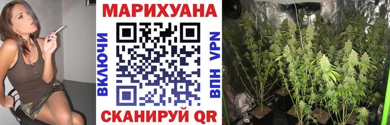 Конопля планчик  Серафимович 